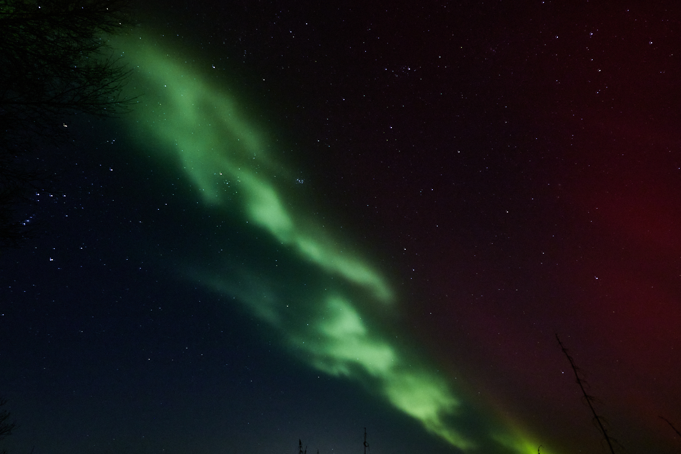A rare sigth in northern Germany but these amazing and fascinating natural spectacles are piling up.