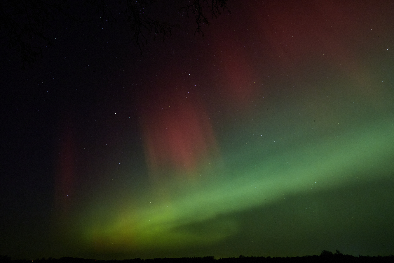 A rare sigth in northern Germany but these amazing and fascinating natural spectacles are piling up.