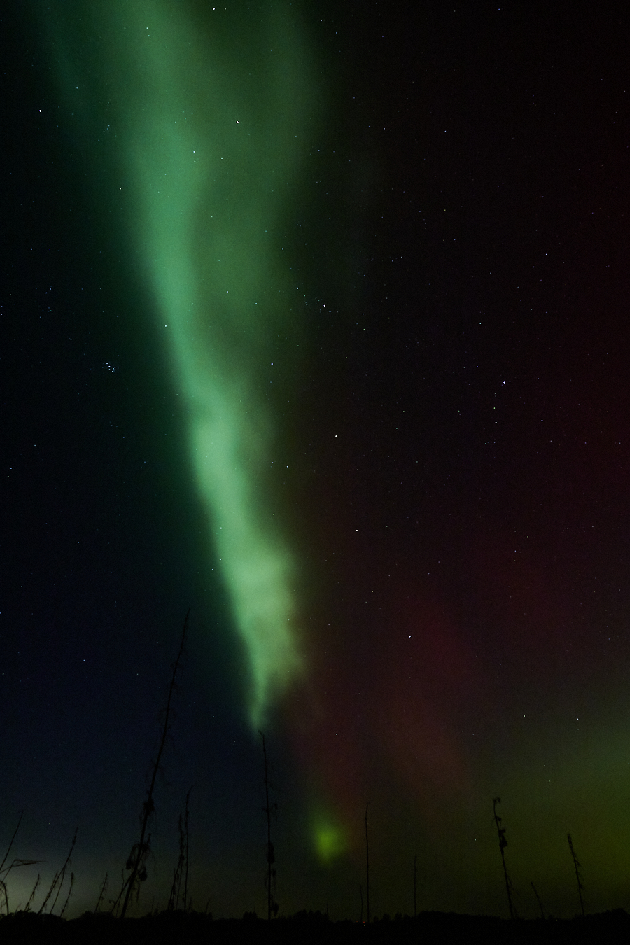 A rare sigth in northern Germany but these amazing and fascinating natural spectacles are piling up.